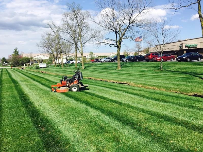 Orange mower cutting striped lawn at commercial property