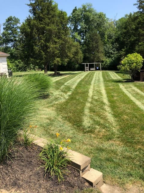 Striped mowed lawn with mulch bed and daylilies